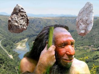 Leutar.net Nevjerovatno otkriće u Hercegovini: U dolini Neretve pronađeno na hiljade artefakata neandertalaca
