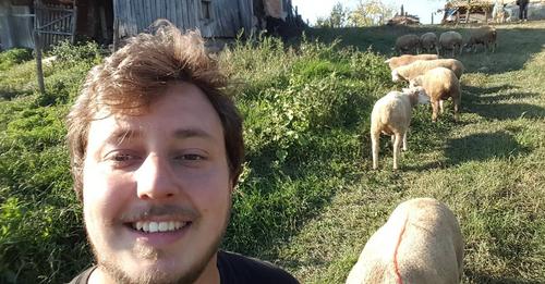 Leutar.net Napustio fakultet i otišao na selo čuvati ovce i raditi preko interneta