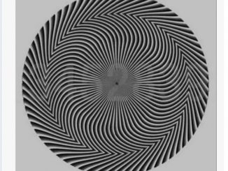 Leutar.net Optička iluzija zbog koje su se ljudi posvađali: Koje brojeve vi vidite?