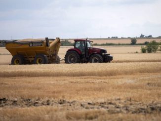 Leutar.net UN: “SAD će kupiti 160.000 tona ukrajinskih žitarica za gladne u svetu”