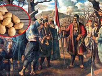 Leutar.net Nazivali ga “đavolje sjeme” i “katolička podvala”: Karađorđe batinama natjerao Srbe da prihvate krompir.