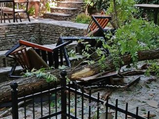 Leutar.net Trebinje: Velika grana se obrušila na baštu ugostiteljskog objekta, srećom nema posljedica