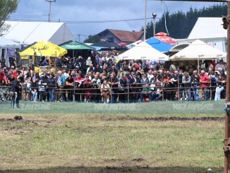 Leutar.net Incident na Manjači: Djevojka ubola mladića, okupljanje prekinuto