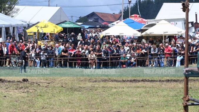 Leutar.net Incident na Manjači: Djevojka ubola mladića, okupljanje prekinuto
