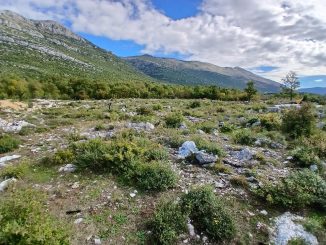 Leutar.net Prodajem zemljište na obali Trebišnjice, u blizini Manastira Tvrdoš