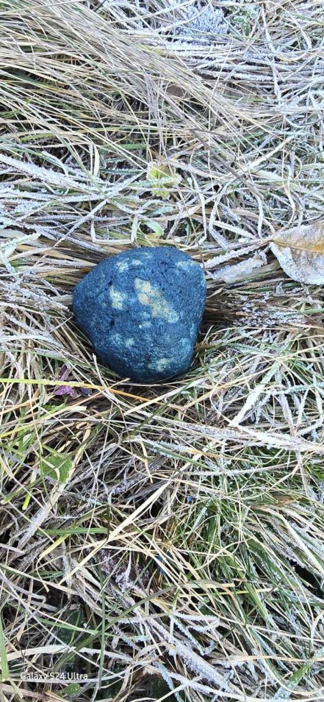 Leutar.net Nevesinje: Ko je dva puta zatrovao imanje porodice Ivković?