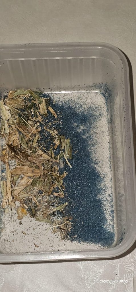 Leutar.net Nevesinje: Ko je dva puta zatrovao imanje porodice Ivković?