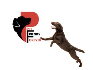 Leutar.net Trebinje i Gornji Milanovac ponovo povezani – ovaj put kroz novu svjetsku ideju