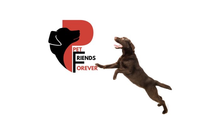 Leutar.net Trebinje i Gornji Milanovac ponovo povezani – ovaj put kroz novu svjetsku ideju